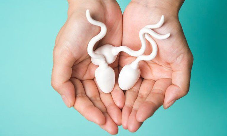 5 Bước Đơn Giản Tại Nhà Để Nâng Cao Sức Khỏe Tinh Trùng