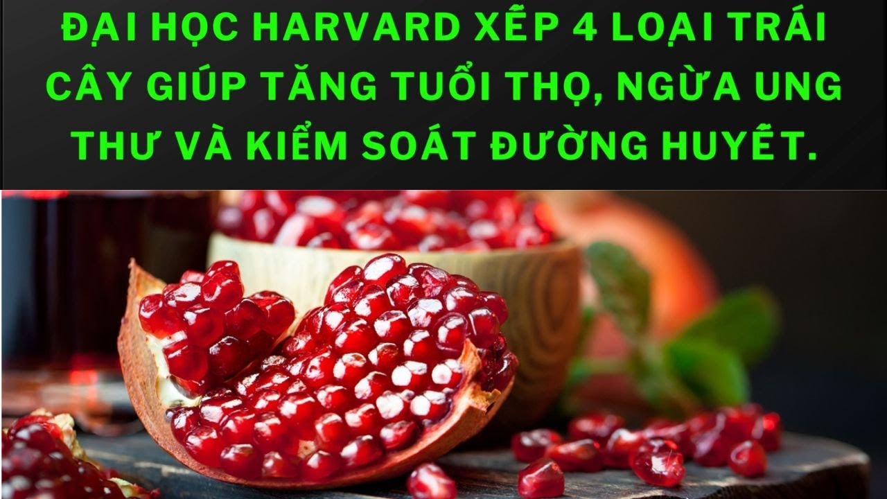 4 loại trái cây giúp kéo dài tuổi thọ: Lựu - Ngăn ngừa ung thư và kiểm soát đường huyết hiệu quả