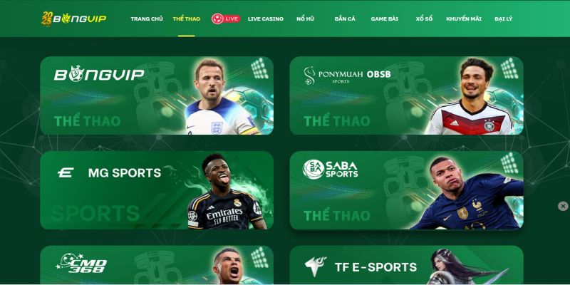 Thể Thao Bongvip – Sân Chơi Đổi Thưởng Đẳng Cấp Nhất Năm 2025