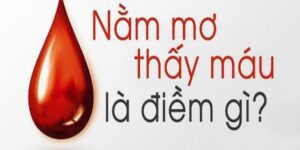 Mơ thấy máu là điềm gì? Giải mã ý nghĩa chi tiết