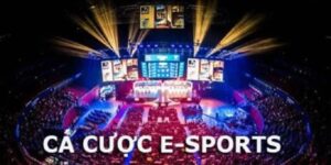 MMWIN Và Kèo Cược Esports Dành Cho Dân Bắt Meta Cực Cuốn